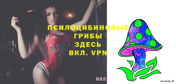 гашик Красноперекопск